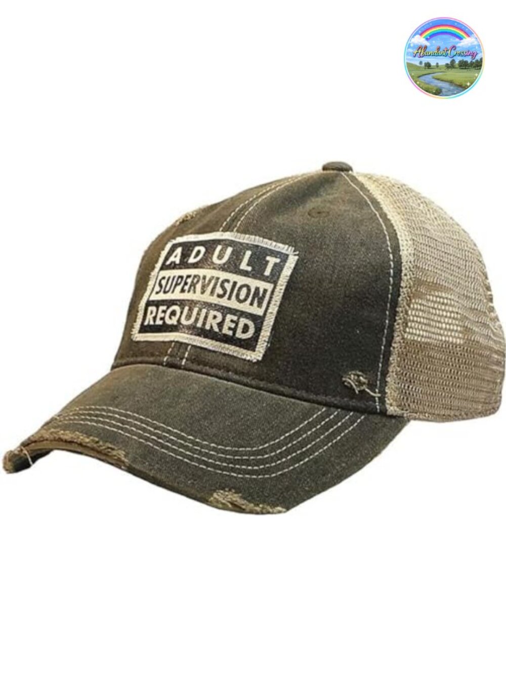 Distressed Trucker Baseball Cap Funny Saying Snapback Hat